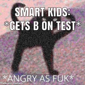 Meet your Posher, Toby